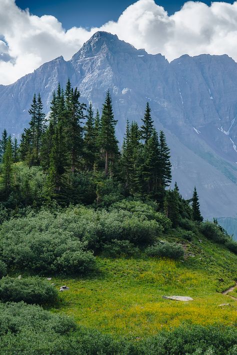 They’re only young once, so don’t let this summer get away. Explore spaces so vast, they’ll make you feel small (in a good way). Settle into a mountainside getaway and find adventure around every corner. This is the trip you’ve been waiting to take, and it’s one they’ll never forget.

This summer, Summer in Snowmass. Forest Landscape Photography, Scenery Reference Photos, Landscape Reference Photos, Mountain Photography, Summer Landscape, Nature Aesthetic, Natural Environment, Nature Scenes, Travel Aesthetic