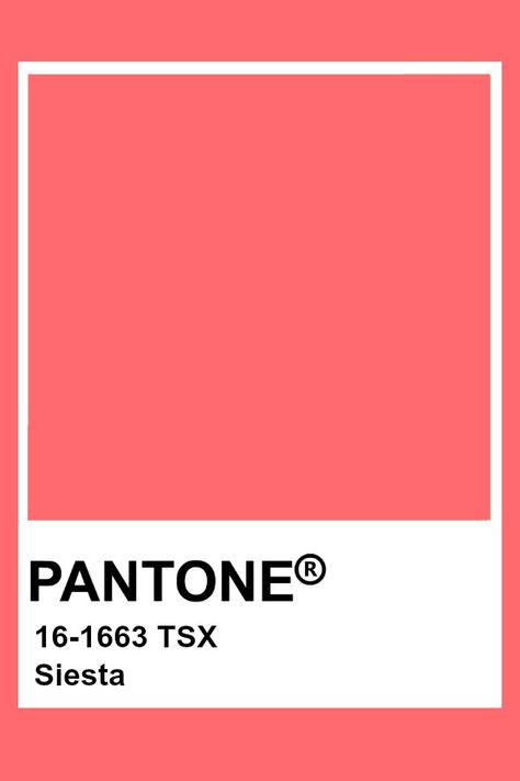 Pantone Siesta Pantone Red, Pantone Color Chart, Pantone Swatches, Pantone Palette, Pantone Colour Palettes, Paint Color Inspiration, Color Palette Challenge, Painters Palette, Pantone Colors