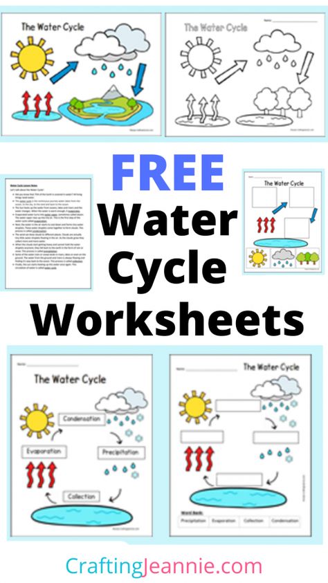 Water Cycle Worksheets Evaporation And Condensation, Water Cycle Craft, Water Cycle Lessons, Water Cycle Model, Water Cycle For Kids, Water Cycle Poster, Rain Cycle, Water Cycle Project, Water Cycle Diagram