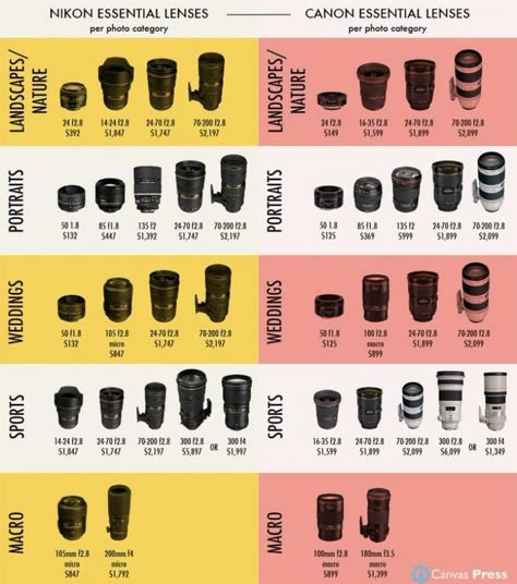 Guide to Nikon and Canon essential camera lenses for different photo categories | Photography camera, Landscape photography tips, Photography lenses Manual Photography, Digital Photography Lessons, Nikon Cameras, Gcse Photography, Dslr Photography Tips, Photography Settings, Reflex Camera, Photography Cheat Sheets, Fotografi Digital