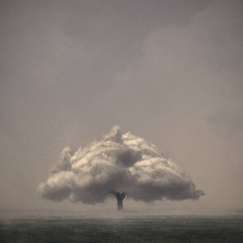 Cloud tree  By Luigi Quarta Vintage Nature Photography, Cloud Tree, Paper Clouds, Photography Inspiration Nature, Garden Artwork, Nature Photographs, Fine Art Photo, Abstract Photography, Beautiful Fantasy Art