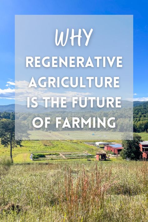 Aerial photo of a regenerative farm, overlaid with the text: "Why Regenerative Agriculture is the Future of Farming" Regenerative Agriculture Farms, Regenative Agriculture, Farming Ideas Agriculture, Regenerative Gardening, Sustainable Development Projects, Snail Farming, Desert Gardening, Starting A Farm, Farm Hacks