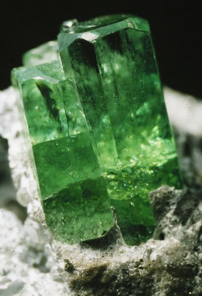 Pretty Rocks, Mineral Stone, Minerals And Gemstones, Rocks And Gems, Emerald Gemstone, Precious Gems, Gems And Minerals, Crystal Gems, Stone Rocks