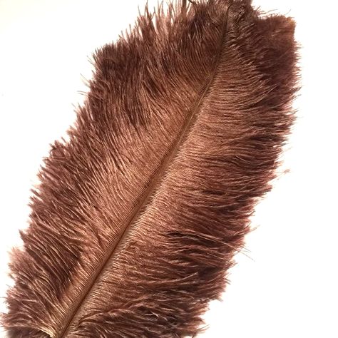 Crenze 10pcs Ostrich Feathers 12-14inch(30-35cm) for Home Wedding Decoration Offers 10 Colors : Amazon.co.uk: Home & Kitchen Home Wedding Decorations, Ostrich Feathers, Home Wedding, Wedding Decoration, Feathers, Wedding Decorations, Home Kitchens, Photography, Black