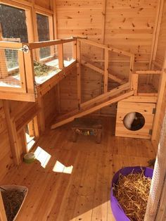 Bunny Sheds, Rabbit Shed, Diy Rabbit Hutch, Rabbit Enclosure, Outdoor Rabbit Hutch, Rabbit Habitat, Pet Rabbit Care, Bunny Hutch, Bunny Room