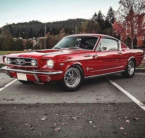 Car Mustang, 1967 Mustang, 1965 Ford Mustang, 1965 Mustang, Old Vintage Cars, Ford Mustang Fastback, Mustang Fastback, Old School Cars, 13 Reasons