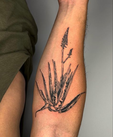 Aloe Plant Tattoo, Aloe Tattoo, Aloe Vera Tattoo, Plant Tattoo, Aloe Plant, Aloe Vera Plant, Tattoo Inspo, I Tattoo, Aloe Vera