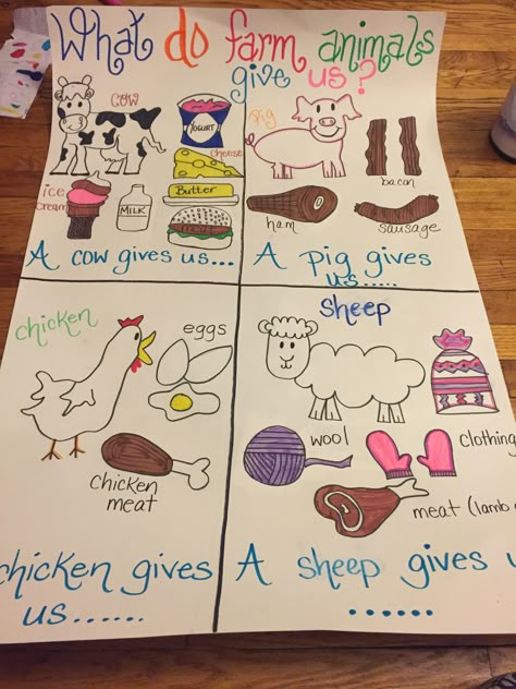 As a part of the NYS kindergarten CKLA Farm unit, I made an anchor that touches upon the four animals mentioned in the unit as well as they foods or things they provide us with. What Do We Get From Farm Animals, Farm For Kindergarten Activities, What Comes From A Farm Preschool, 1st Grade Farm Unit, All About Farm Animals Preschool, Farmer Activities For Kindergarten, Farm Animal Activities For Preschoolers, Farm Theme Writing Activities, Farm Classroom Activities