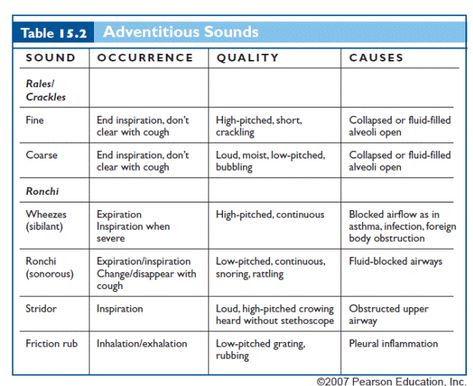 Adventitious breath sounds Lvn School, Breath Sounds, Nursing Assessment, Nurse Study Notes, Med Surg, Nursing School Notes, Nursing Study, Respiratory System, School Notes