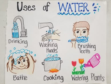 Uses of Water, 1st grade TEKS, Anchor Chart Water Study Preschool Activities, Water Uses Worksheet, Water Conservation Poster For Kids, Water Theme For Preschool, Water Lessons Preschool, Evs Activities For Grade 3, Water Themed Activities For Kids, Water Theme Preschool Crafts, Save Water Activities