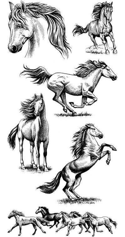 Horse Running Drawing, Mustang Tattoo, Running Tattoo, Horse Tattoo Design, Wild Horses Running, Horse Art Drawing, Western Tattoos, Horse Sketch, Horse Illustration