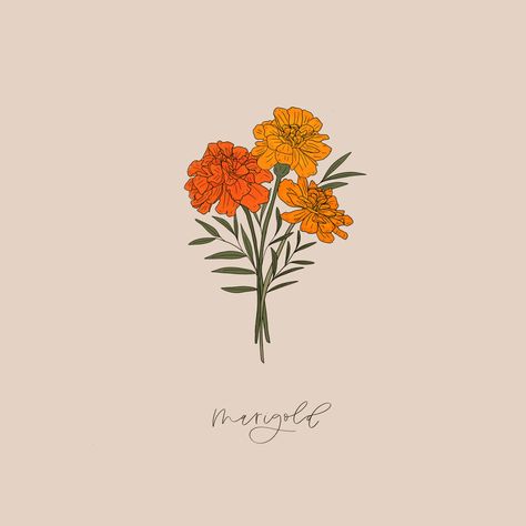 Marigold Outline Tattoo, Marigold Aesthetic Wallpaper, Marigold Drawing, Marigold Tattoos, Drawing October, Marigold Print, Flower Marigold, Antler Tattoo, Marigold Tattoo