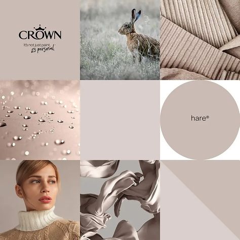 Hare Crown Paint, Colour Schemes Bathroom, Crown Paint Colours, Stair Landing Decor, Crown Paint, Hallway Colour Schemes, Warm Grey Paint Colors, Hall Painting, Navy Living Rooms