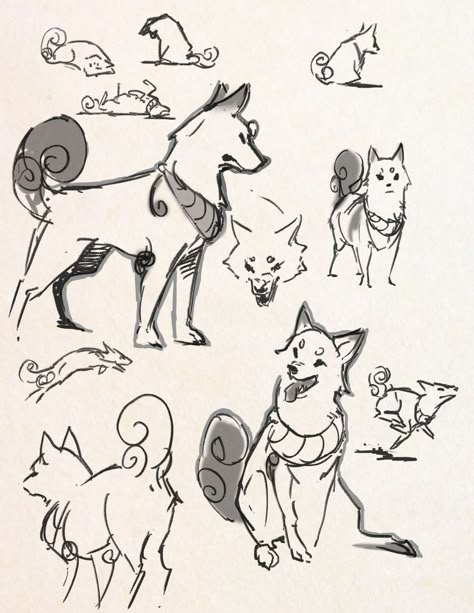 Anime Dog Sketch, Dog Sketch Reference, Person And Dog Drawing, Dog Drawing Anime, Dog Bases Drawing, Puppy Poses Drawing, Dog Poses Drawing, Dog Sketch Cartoon, Akita Drawing