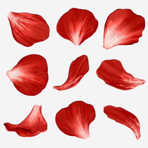 Rose Petal Tattoo, Rose Petals Drawing, Watercolor Petals, Red Rose Drawing, Large Paper Flower Template, Ballet Poster, Flower Petal Art, Illustration Rose, Flower Svg Files