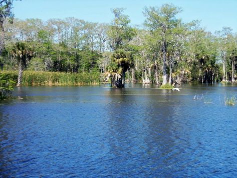 THE 15 BEST Things to Do in Okeechobee - 2022 (with Photos) - Tripadvisor Okeechobee Florida, Florida Vacation Spots, Travel Florida, What To Do Today, To Do Today, Florida Vacation, Florida Travel, Tourist Attraction, Vacation Spots