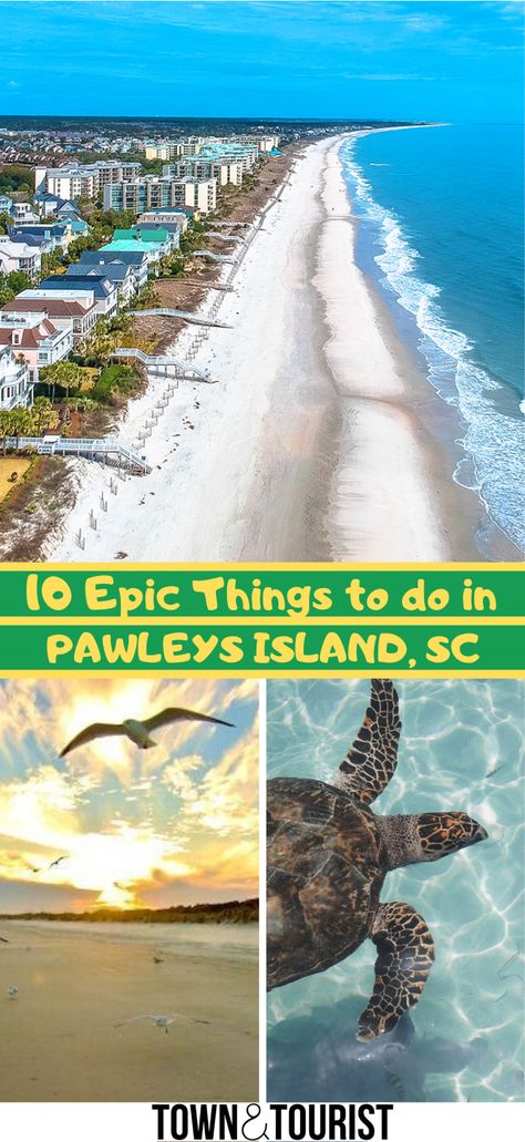 Myrtle Beach Photography, Pawleys Island South Carolina, Myrtle Beach Trip, Loggerhead Turtle, Pawleys Island Sc, South Carolina Vacation, South Carolina Travel, Couples Ideas, South Carolina Beaches