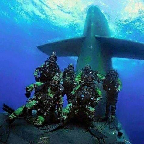 You may be cool and a bit of a bad ass, but you are (not) 6 Navy Seals riding a submarine while protecting our country bad ass cool. Scuba Diving Quotes, Navy Diver, Us Navy Seals, Deep Sea Diving, Sea Diving, Scuba Gear, Military Artwork, Military Special Forces, Military Humor