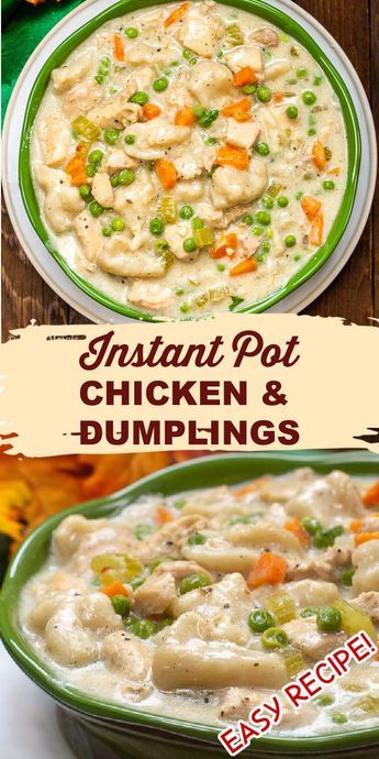 Instant Pot Chicken And Dumplings, Southern Comfort Food, Instant Pot Pasta Recipe, Dumplings For Soup, Instant Pot Soup Recipes, Best Instant Pot Recipe, Comfort Food Southern, Instant Pot Soup, Healthy Instant Pot Recipes