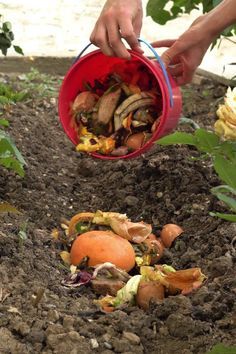 Trench Composting Raised Beds, In Garden Composting, In Bed Composting, How To Use Compost In Garden, Composting Aesthetic, Master Gardener Projects, Making Compost For Garden, Winter Compost, Trench Composting