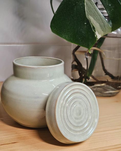 Concentric circles jar by D.R. #pottery #ceramics #clay #jar Lidded Pots Ceramics, Porcelain Ceramics Pottery, Ceramics Lidded Jar, Lidded Vessels Ceramic, Ceramic Throwing Ideas Pottery Wheel, Lidded Jars Ceramic Pottery Ideas, Ceramic Lidded Vessels, Clay Jar Ideas, Pinch Pot With Lid