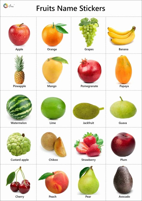 List Of Fruits: List Of 40+ Popular Fruit Names With Fruits And Vegetables Names, Fruits Name With Picture, English Facts, Fruits Name, Fruits And Vegetables List, Name Of Vegetables, Fruit Images, Fruits Name In English, Vegetable Chart