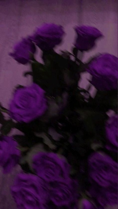 Purple Boyfriend Aesthetic, Roses Aesthetic Purple, Purple Cover Aesthetic, Dark Flower Asthetics Photos, Rose Purple Aesthetic, Dark Purple Flowers Aesthetic, Hot Purple Aesthetic, Purple Emo Aesthetic, Purple Rose Aesthetic