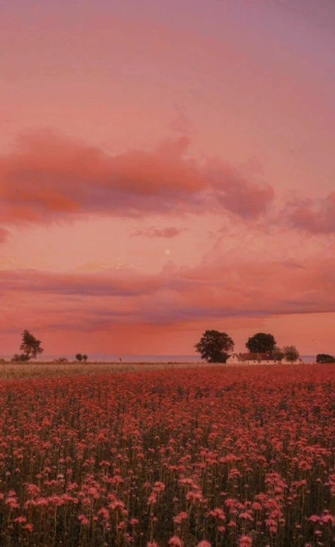 Aesthetic Flower Field Wallpaper, Peach Aesthetic Vintage, Aesthetic Wallpaper Peach, Background Landscape Aesthetic, Landscape Aesthetic Wallpaper, Landscape Aesthetic Background, Peach Pink Aesthetic, Princess Peach Aesthetic, Peach Color Aesthetic