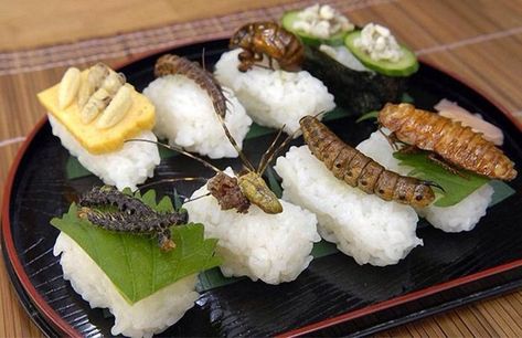 Eating Certain Foods Cricket Flour Recipes, Edible Bugs, Cursed Food, Tomato Hornworm, Restaurant Graphics, Edible Insects, Broccoli Nutrition, Food In Thailand, Food Fails