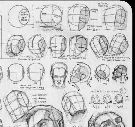 Atonomy Drawing, Draw Head, Loomis Method, Planes Of The Face, Drawing The Human Head, Head Anatomy, Human Body Drawing, Head Drawing, 얼굴 드로잉