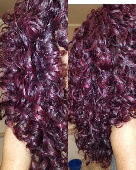 Raspberry Curly Hair, Maroon Curly Hair Burgundy, Cute Hair Dye Ideas For Curly Hair Purple, Color Hair Ideas For Curly Hair, Plum Red Curly Hair, Cherry Black Hair Color Curly, Red Violet Curly Hair, Dark Pink Hair Curly, Black Cherry Hair Curly