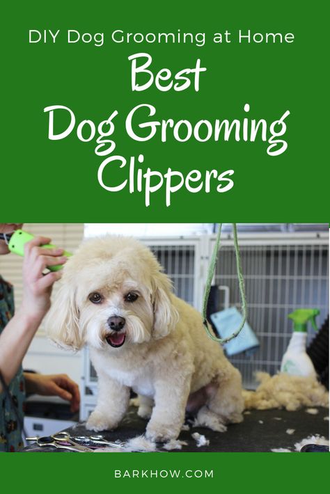 Dog Grooming At Home, Yorkie Hairstyles, Cat Groomer, Dog At Home, Dog Grooming Clippers, Dog Clippers, Dog Cover, Dog Haircuts, Home Dog