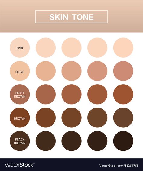 Brown Skin Tones Chart, Skin Colours Chart, Color Wheel Skin Tone, Skintone Color Palettes Procreate, Skin Color Chart Drawing, Human Color Palette, Skin Tone Chart Color Palettes, Brown Skin Color Palette, Skin Tone Chart Art