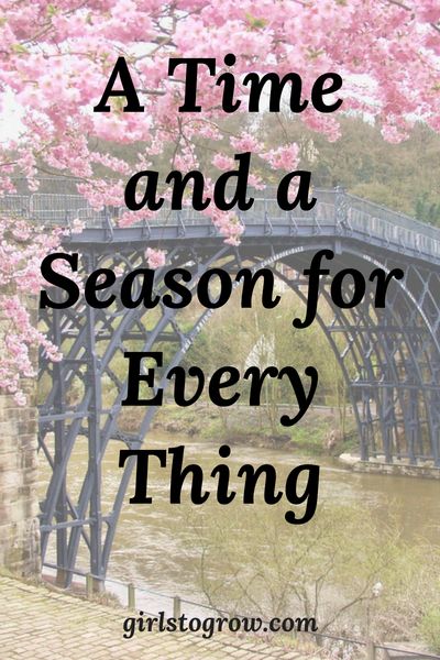 Lessons to remember as your season of life changes. Seasons Of Life Quotes, Senior In High School, Life Quotes Relationships, Spiritual Garden, Friends Change, Season Quotes, Selfie Friends, Change Of Seasons, Season Of Life