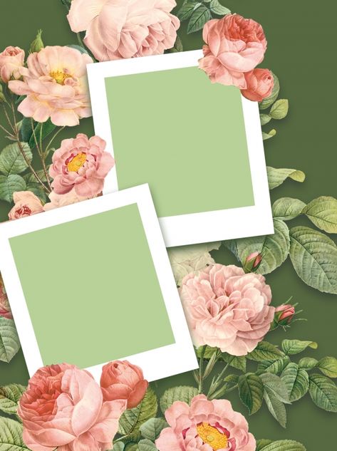 Frame Floral Photograph Flower Background Two Frames Background, Background For Frame, Cute Photo Frames, Picture Frame With Flowers, Background Photo Frame, Flower Frame Background, Photo Frame Background, Yellow Flower Photos, Flower Photo Frame