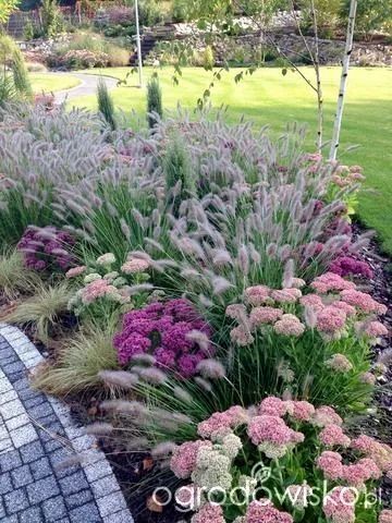 Coastal Porch, Ornamental Grass Landscape, Fall Flowers Garden, Moderne Have, Jackson Ms, Grasses Landscaping, Planting Plan, Bedrooms Ideas, House Landscaping