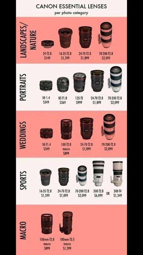 Different Lenses Photography, Photography Ideas Beginners, Canon Essential Lenses, Dslr Camera For Beginners Photography Basics, Camera Lens Canon, Photography Lens Guide, Photography Interactive Posts, Canon 75-300mm Lens Photos, Camera Essentials Photographers