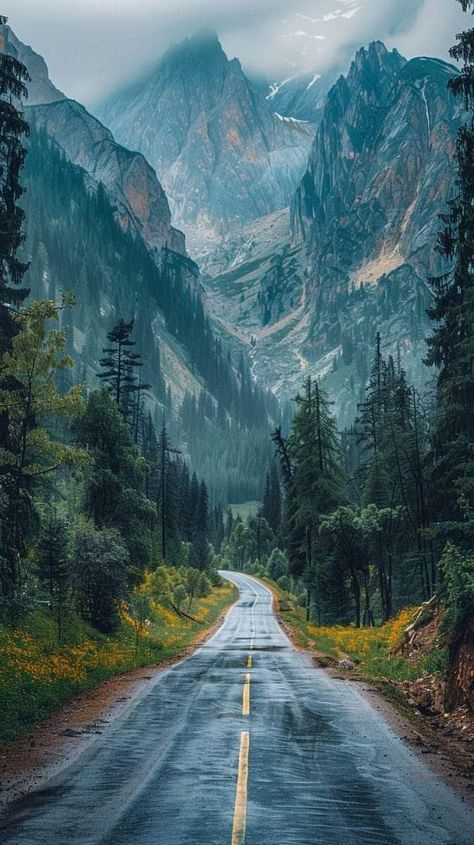 Breathtaking Nature Photography, Outdoor Photography Nature, Photography Inspiration Nature, Winning Photography, Animals And Nature, Nature Projects, Award Winning Photography, Beautiful Roads, Scenery Photography