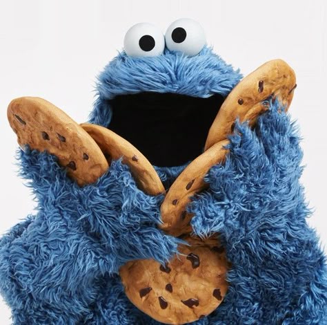 The Cookie Monster, Cookie Monster