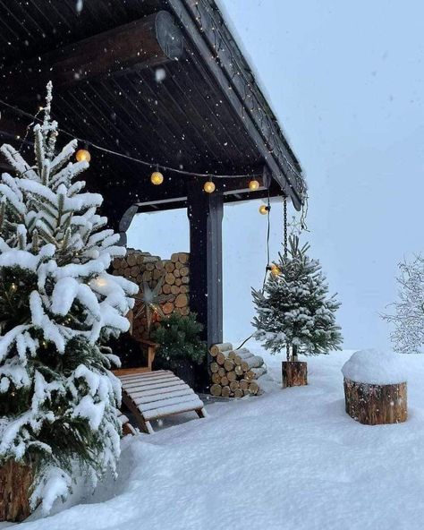 Winter Szenen, Winter Cabin, Have Inspiration, Winter Love, Winter Magic, Winter Scenery, Winter Beauty, Christmas Tree Farm, The Porch