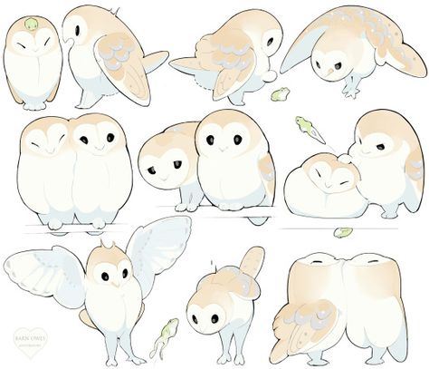 Barn Owl, Cute Animal Drawings, Animal Drawings, Cute Stuff, Art Stuff, Owls, Different Types, Cute Things, Animal Art