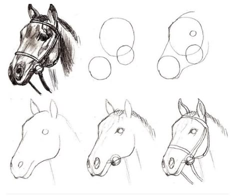 Horse Drawing Tutorial, Drawing Horses, Horse Art Drawing, Animal Drawings Sketches, Horse Sketch, Horse Drawing, Horse Drawings, Art Drawings Sketches Creative, Pencil Art Drawings