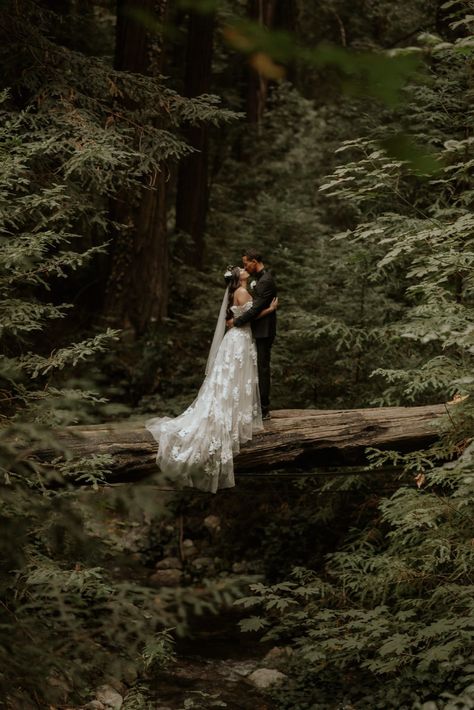 Flora Gibson Photography Big Sur California wedding and elopement photographer The Wedding Bliss, Intimate Gathering, Forest Theme Wedding, Anniversary Shoot, Big Sur Wedding, Enchanted Forest Wedding, Pnw Wedding, Night Gowns, Big Sur California