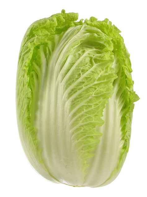 Cabbage Napa Chinese Leaves, Cabbage Health Benefits, Growing Spinach, Tips For Cooking, Vegetable Pictures, Cabbage Worms, Asian Vegetables, Paper Pot, Chinese Cabbage