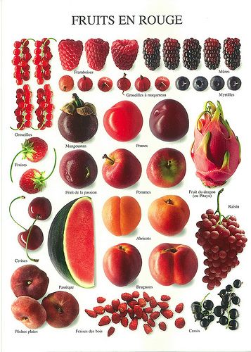 PHC 2598 - Fruits en rouge - Nouvelles Images Fruits And Vegetables List, Fruit Art Print, Fruit Names, Food Charts, Learning French, Exotic Fruit, Red Fruit, Food Facts, Fruit Art