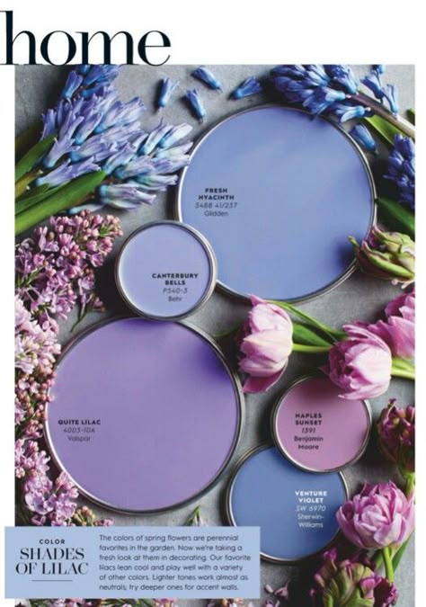 Shades Of Lilac, Paint Color Schemes, Color Schemes Colour Palettes, Paint Color Palettes, Stunning Hairstyles, Homes And Gardens, Colour Board, Paint Schemes, Paint Colors For Home