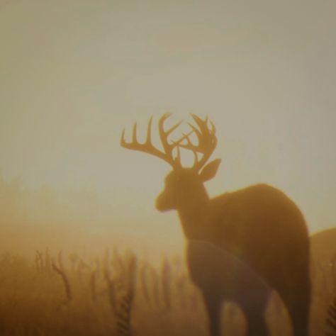 Red Dead Redemption 2 Deer high honor icon cowboy wild west outlaw aesthetic rdr2 4k hd Brown Royalty Aesthetic, 1800s Cowboy Aesthetic, Dark Wild West Aesthetic, Faceless Cowboy Aesthetic, Trans Cowboy Aesthetic, Red Deer Aesthetic, High Honor Arthur, Read Dead Redemption 2 Aesthetic, Cowboy Core Aesthetic