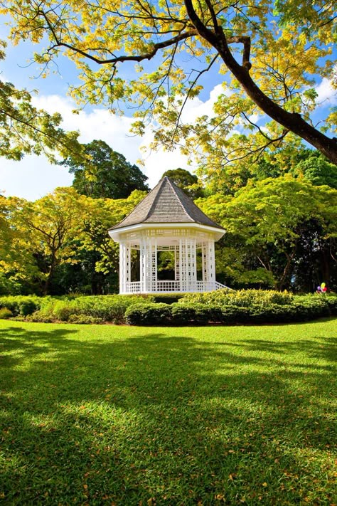 Singapore Botanic Gardens (UNESCO World Heritage Site), Singapore Singapore Photography, Tropical Colonial, Singapore Dollar, Singapore Itinerary, Singapore Garden, Things To Do In Singapore, Singapore Botanic Gardens, Singapore Photos, Gardens Of The World