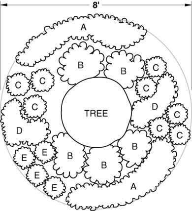 Shade Dry Diagram Perennial Garden Plans, Landscaping Around Trees, Bell Gardens, Daffodil Bulbs, Shade Perennials, Spring Flowering Bulbs, Garden Shrubs, Yellow Daffodils, Garden Bulbs