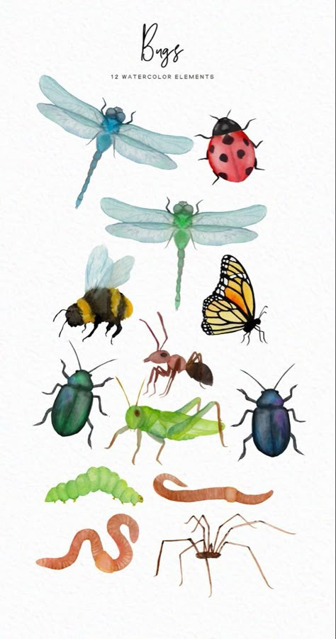 Watercolor Bugs Watercolor Insects Spider But Watercolor Bugs Illustrations, Small Bug Drawing, Insects Watercolor Painting, Bug Watercolor Painting, Watercolor Insects Illustrations, Cute Insects Illustration, Cool Bug Drawings, Watercolor Bugs Insects, Cute Bug Illustration